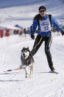 Lenk 2013